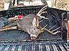 I need some "wood" help-garysdeer2.jpg