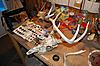 Shed hunting finds.-shed-hunting-3-11-11-018.jpg