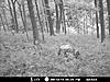 RATE THIS DEER - New Trail Cam pic-mdgc0010.jpg