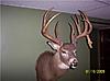 What's the biggest deer you've killed?-my-big-buck.jpg