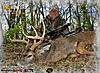 Illinois Buck Down-ill_buck.jpg