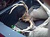 3 Days No Buck But A Fat Doe Helps-downsized_1112111717.jpg