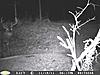 A Few Nce Bucks (Pics)-nice-8.jpg