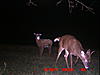 Check out this Buck and my decoy . Caution nudity . LOL.-icam0001-7-.jpg