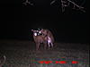 Check out this Buck and my decoy . Caution nudity . LOL.-icam0002-9-.jpg