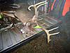 Northern Wisconsin Gun Buck-rogers2ab.jpg