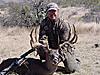  Big Buck-imagen-012.jpg