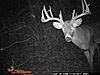 Hunting buddies first Buck..19 countable points-game-cam-041.jpg