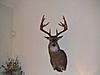 mount on the wall-6335_1082826116466_1400730070_30196826_231572_n.jpg