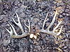 Illinois Shed Hunt Trip-0309120713.jpg