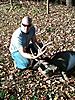 Late to the game 11pt buck Wilkes County NC-new-image.jpg