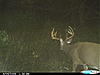 2 nice bucks-cdy_0193.jpg