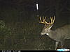 2 nice bucks-cdy_0247.jpg