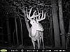 Trail Cam Pictures-547.jpg