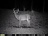 Another Target Buck (Pics)-k8-20-4-1-.jpg