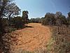 2012 food plot-before.jpg