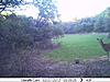 2012 food plot-after.jpg