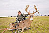 Illinois Giant!!!!-kalmer-deer.jpg