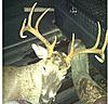 help! 9,11, or 12 point buck??-photo-4-.jpg