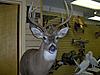 My Buck Scored By BuckScore.com-archey-2007.jpg