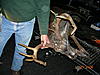 8 vs 10 Pointer.  Genetics?-o-handley-13-point.jpg