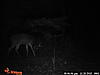 Same buck?-tuesday-5-2-.jpg