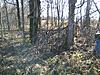 Let's see pics of your hunting blinds!-1120131442.jpg
