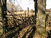 Let's see pics of your hunting blinds!-1120131442a.jpg