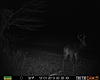Guess his age!-prms0067.jpg