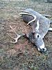 Any big bucks shot this year by anybody?-20131123_165056.jpg