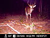 Ok 6 pt....-picture-045.jpg