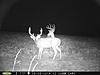 Buck Pictures-aug.-2014-91-.jpg