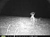 Buck Pictures-aug.-2014-124-.jpg