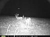 Buck Pictures-aug.-2014-144-.jpg