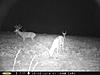 Buck Pictures-aug.-2014-147-.jpg