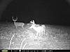 Buck Pictures-aug.-2014-148-.jpg