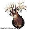 Which Buck would you kill.-c1_missourimonarch.jpg