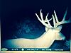 My 2011 Buck-image.jpg