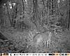 Score this Big Guy-hunt0376.jpg