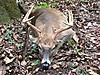 The old Tenpoint Titan still getting it done.-bud-s-2018-crossbow-9-pointer4.jpg