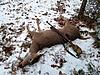 confidence in the rifle you hunt with.....-20181120_065511_resized.jpg