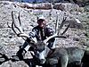  Monster Mulies-area24.jpg