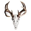 Antler mount-713050m2_ts.jpg