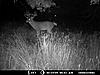Kansas Big Boy..Just curious what others think he will score-mdgc0142.jpg