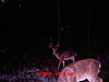 south alabama monster(new pic)-mdgc1194.jpg