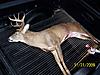 Ohio 11 Pointer, &amp; #5 for the year. With Pics-104_3384.jpg