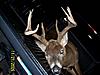 Ohio 11 Pointer, &amp; #5 for the year. With Pics-104_3391.jpg