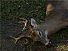 2009-2010 deer hunting braggin' board-11-2-2009-6-pt-buck-3.jpg