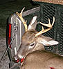 2009-2010 deer hunting braggin' board-11-25-2009-7-pt-2.jpg