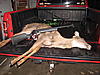 2009-2010 deer hunting braggin' board-img_0001.jpg